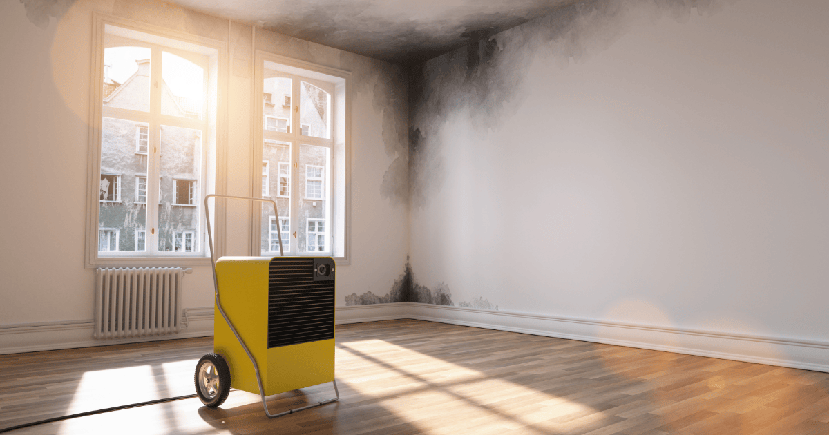 Prevent mold after water damage