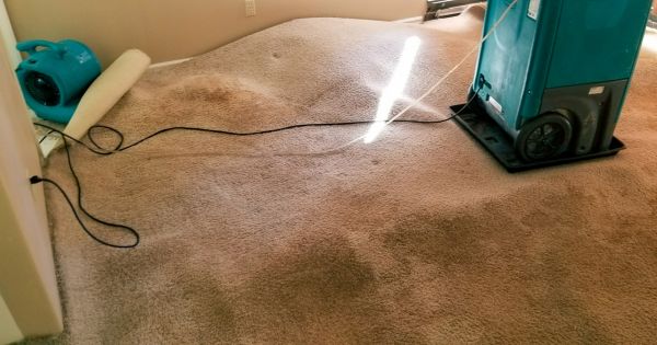 how to dry carpet after flood